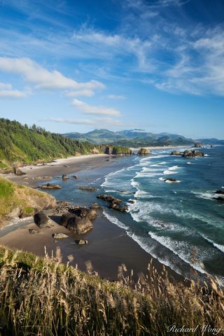 Ecola State Park | Oregon | Richard Wong Photography