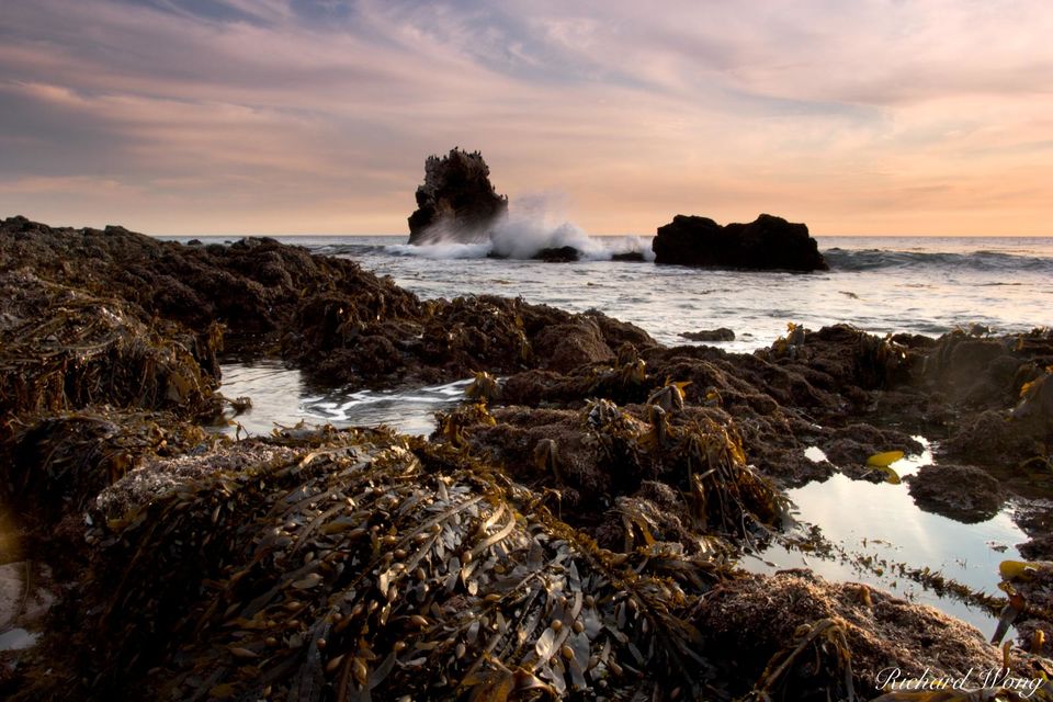 little-corona-del-mar-beach-california-richard-wong-photography