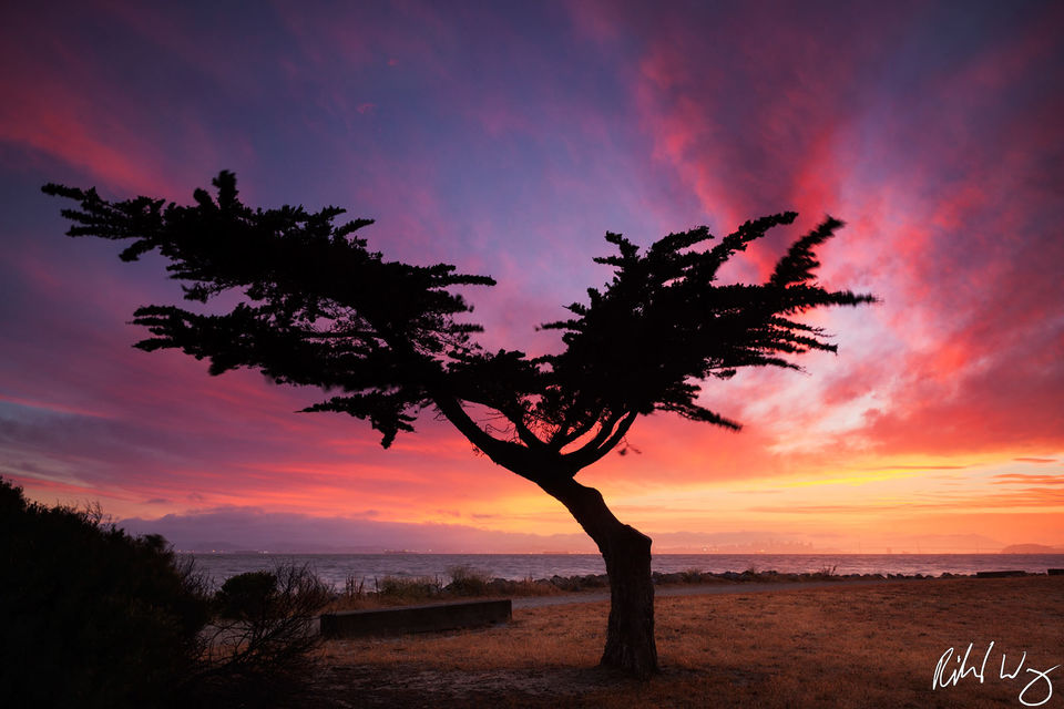 Los 10 Fotógrafos De Naturaleza Más Influyentes De Todos Los Tiempos