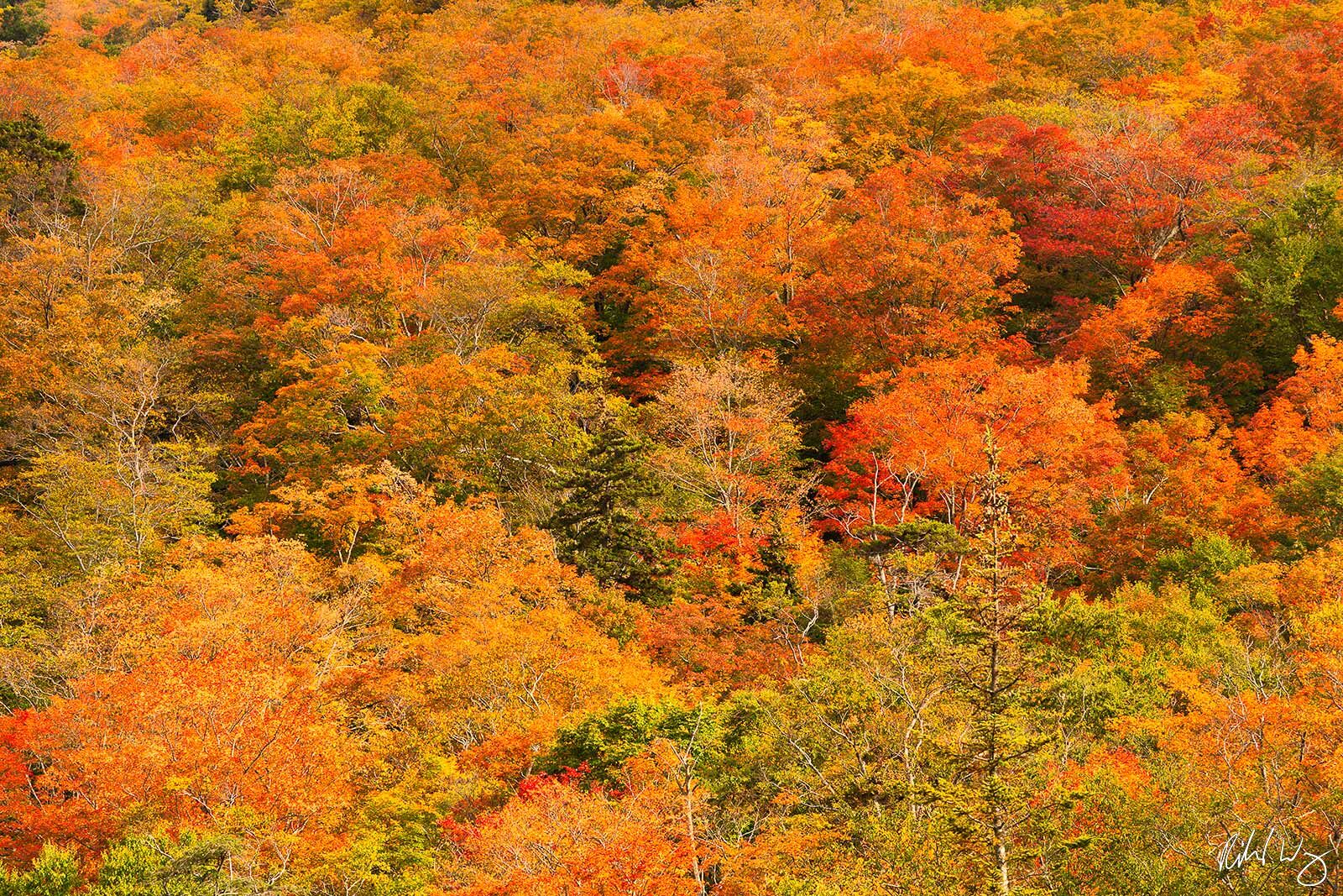 Sterling Pond Fall Colors Photo | Richard Wong Photography