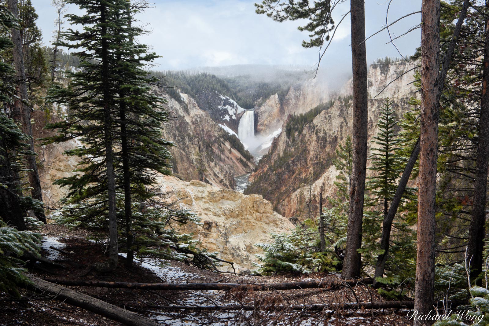 Artist Point Yellowstone Photo | Richard Wong Photography