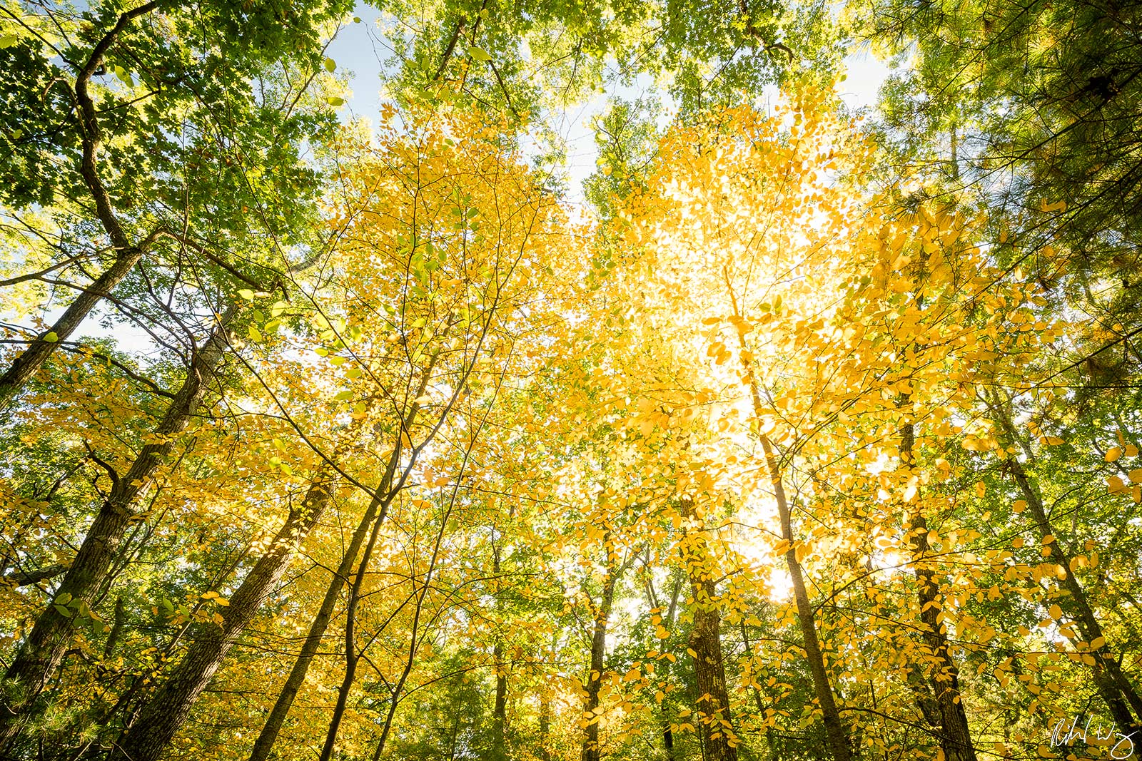 Walden Pond Fall Color Photo | Richard Wong Photography